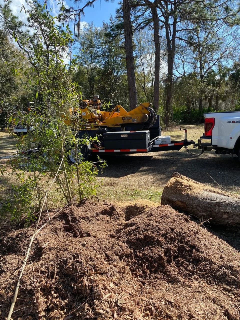 Carlton stump grinder and F-350 on job site