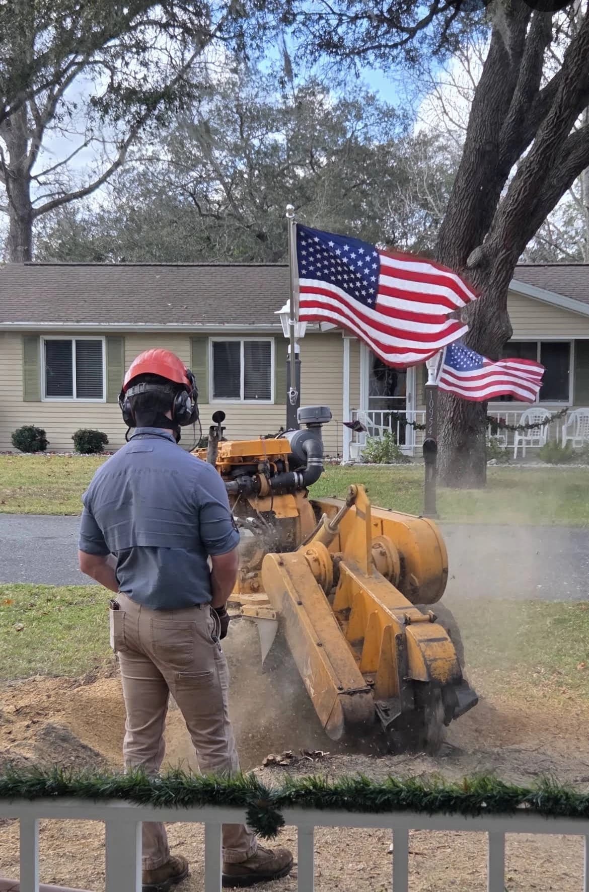 Professional stump grinder at work