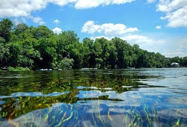 Rainbow River in Dunnellon FL — stump grinding services in Dunnellon